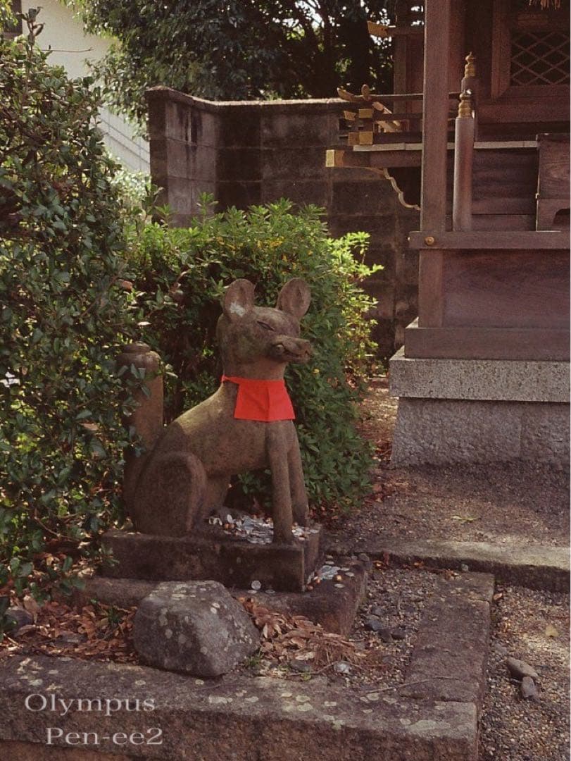 ★完動品＊美品★olympus pen ee2★フィルムカメラ入門に！★本革外装