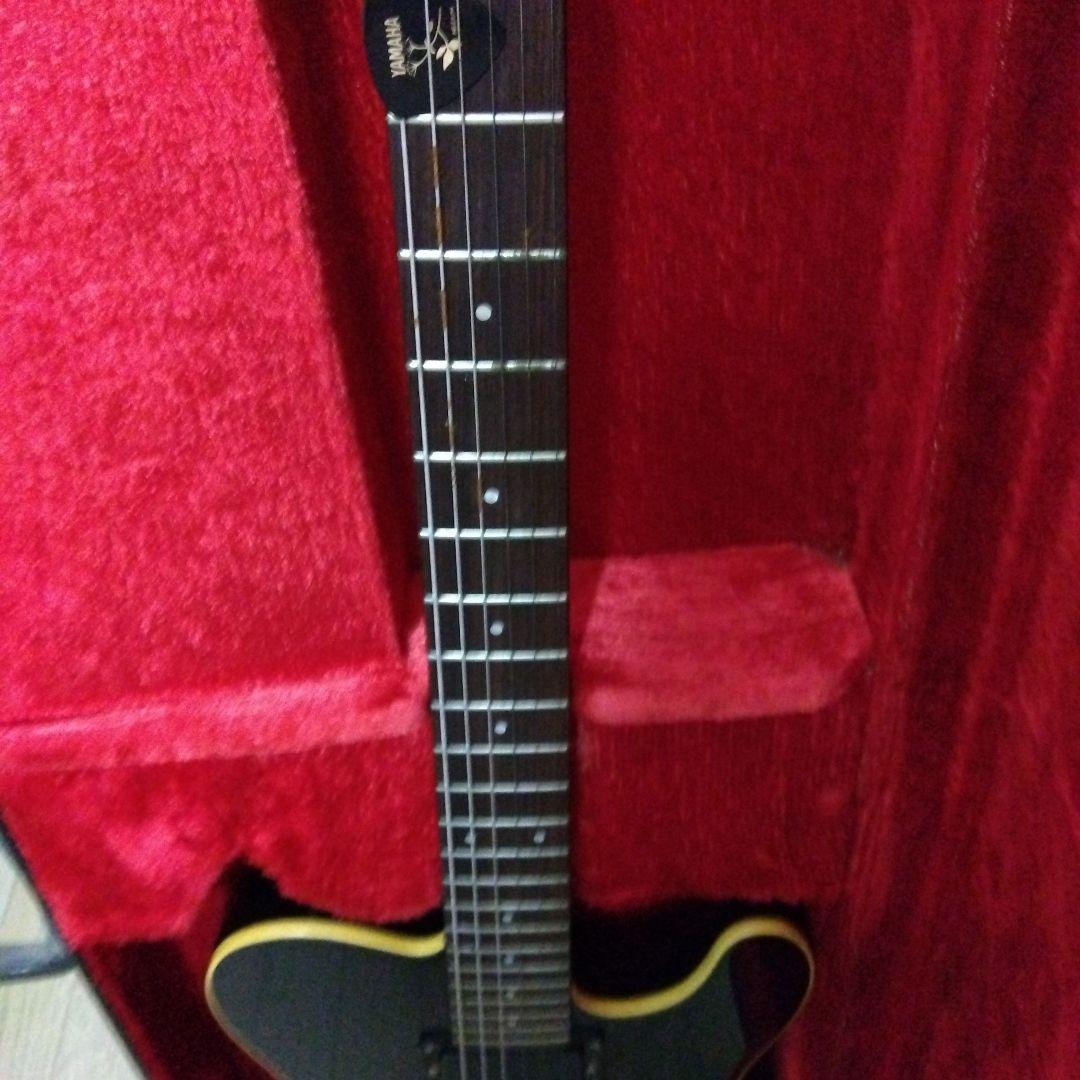 ムーン moon PGM テレキャスター　EMGハムバッキング　ワンオーナー