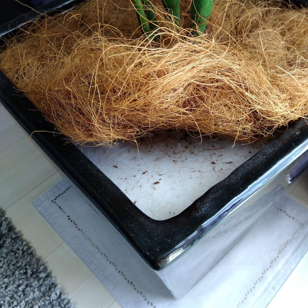 人工観葉植物 緑色 高さ約180cm