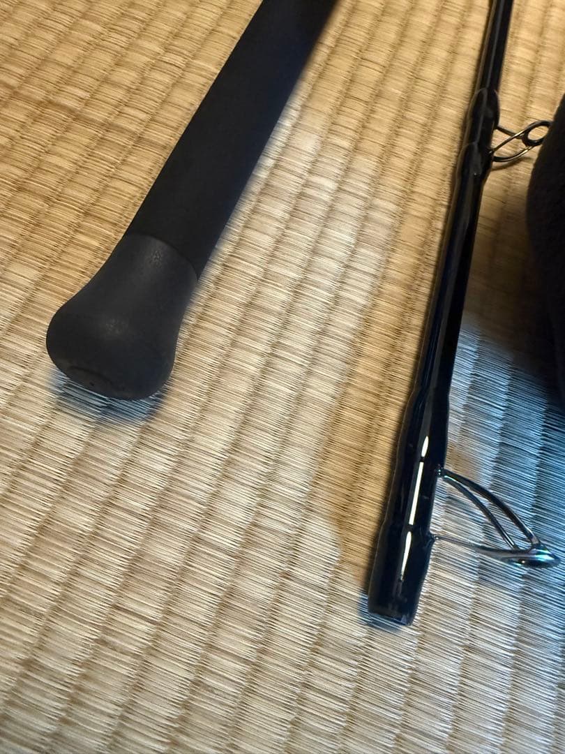 ゼナック　ミュートスアキュラ100H RGガイド