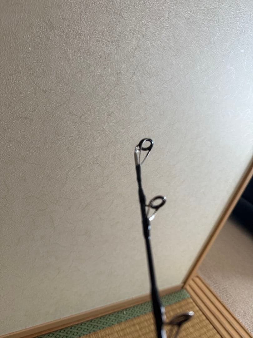 ゼナック　ミュートスアキュラ100H RGガイド