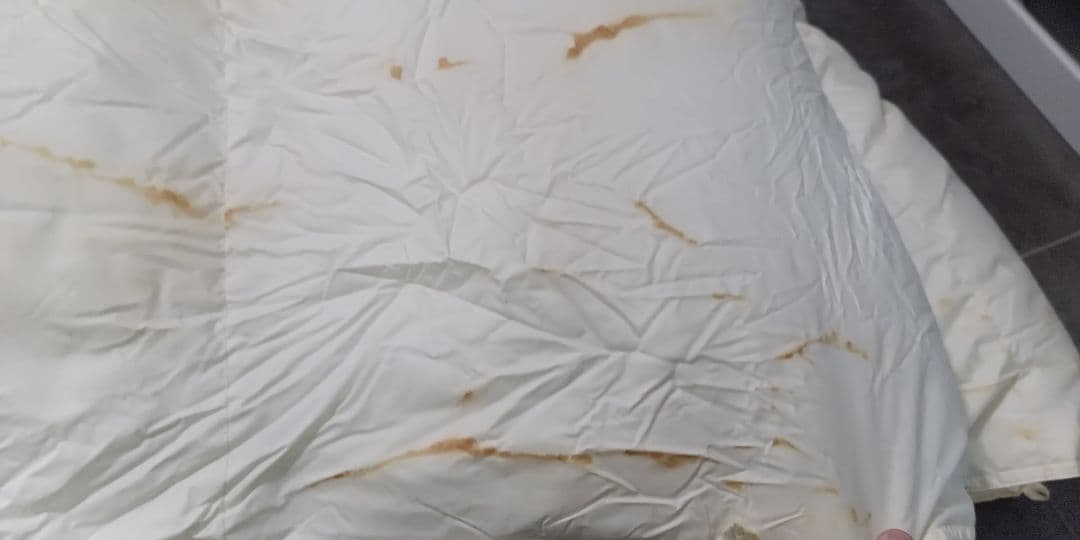 羽毛布団　2枚合わせ　肌掛け　合掛け　ホワイトダックダウン85%　W　ダブル