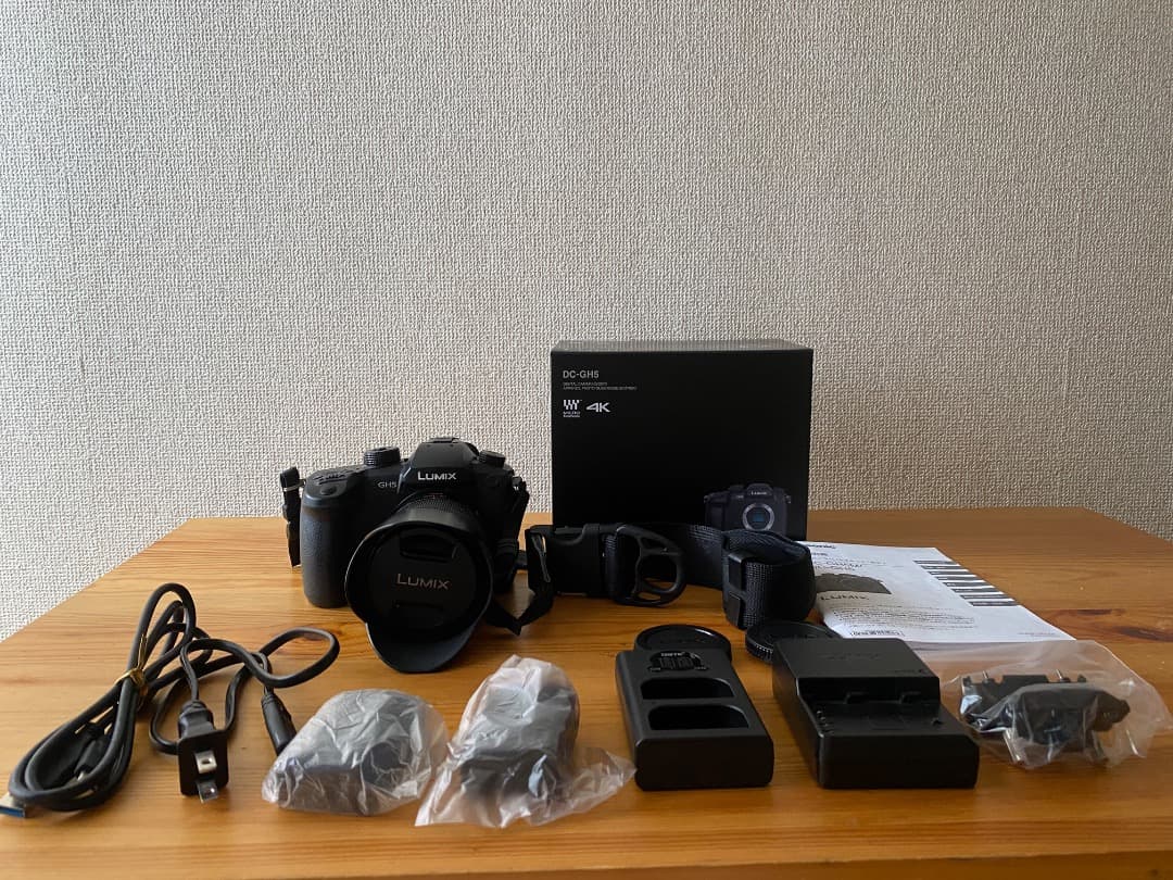 【美品】LUMIX GH5+ G VARIO 14-140mm/F3.5-5.6
