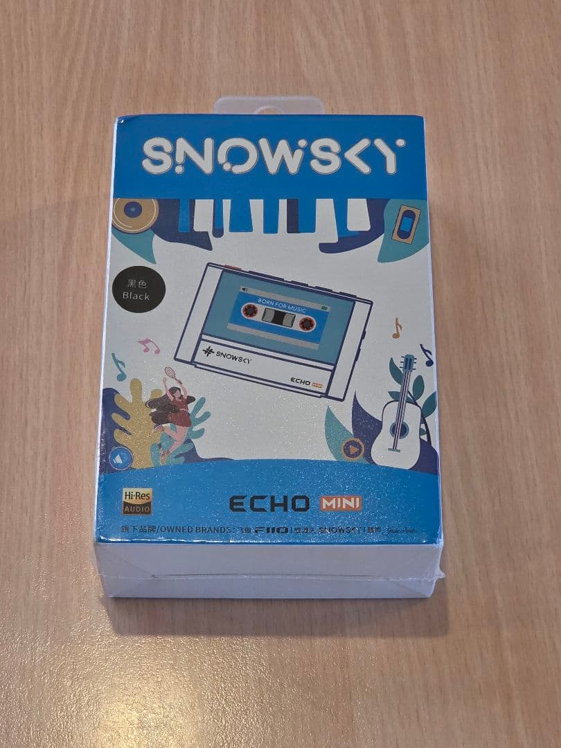 【未開封新品】FiiO SKY ECHO MINI ブラック