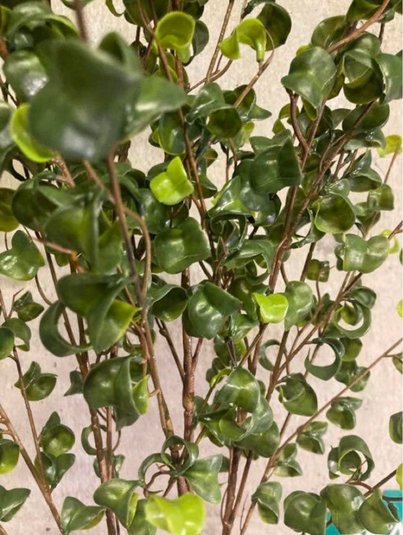 光触媒　人工観葉植物　ウォールグリーン　フェイクグリーン　ベンジャミンバロックa