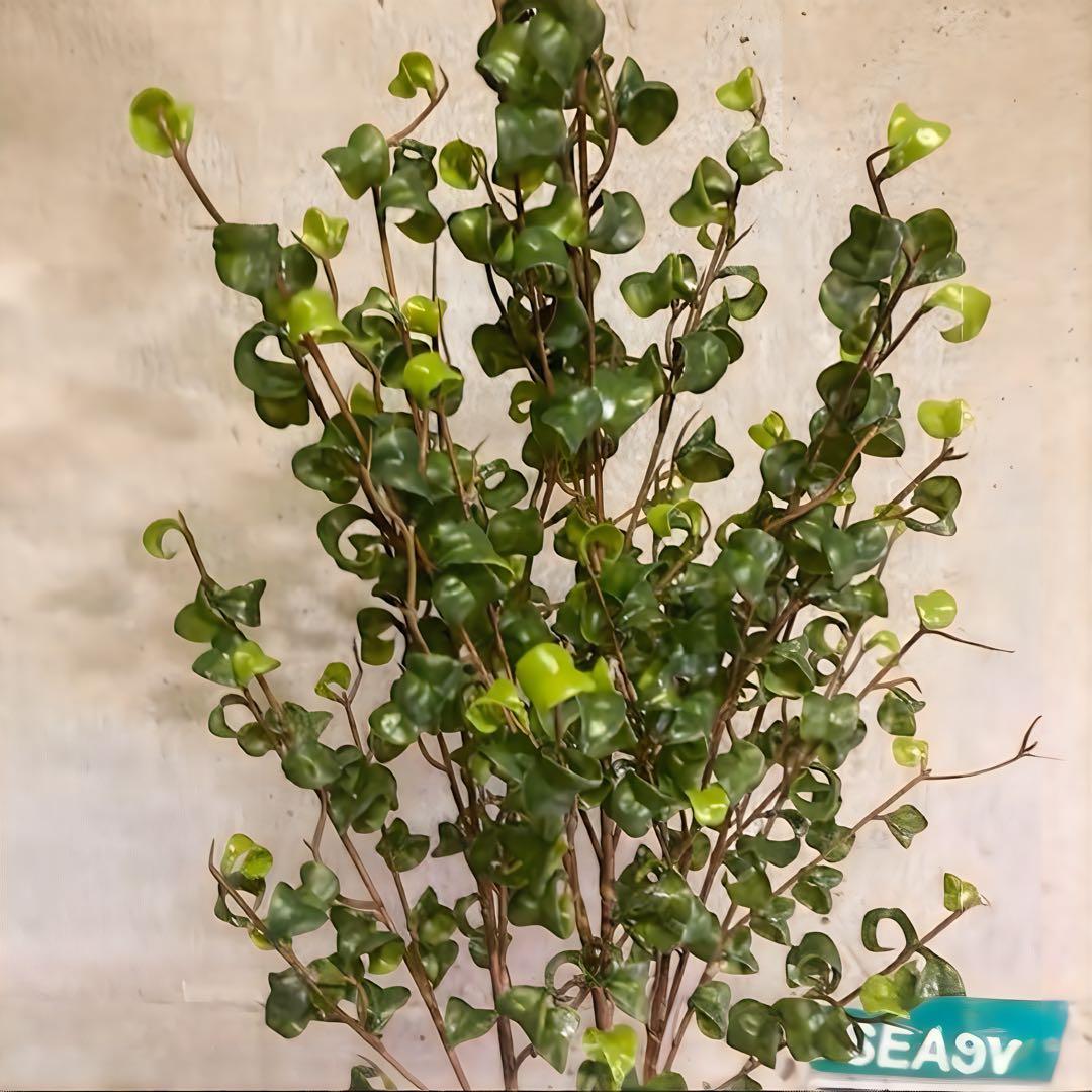 光触媒　人工観葉植物　ウォールグリーン　フェイクグリーン　ベンジャミンバロックa