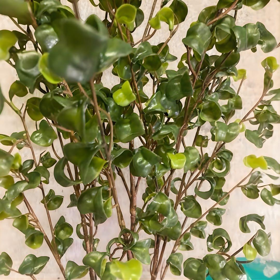 光触媒　人工観葉植物　ウォールグリーン　フェイクグリーン　ベンジャミンバロックa