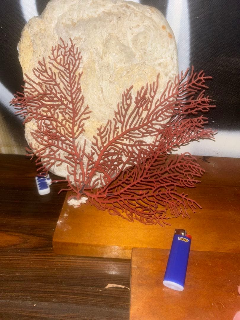 赤いサンゴのインテリアオブジェ