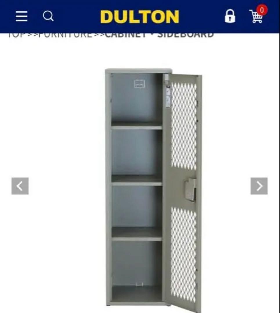 超美品　DULTON / STEEL MESH LOCKER MOSS GRAY