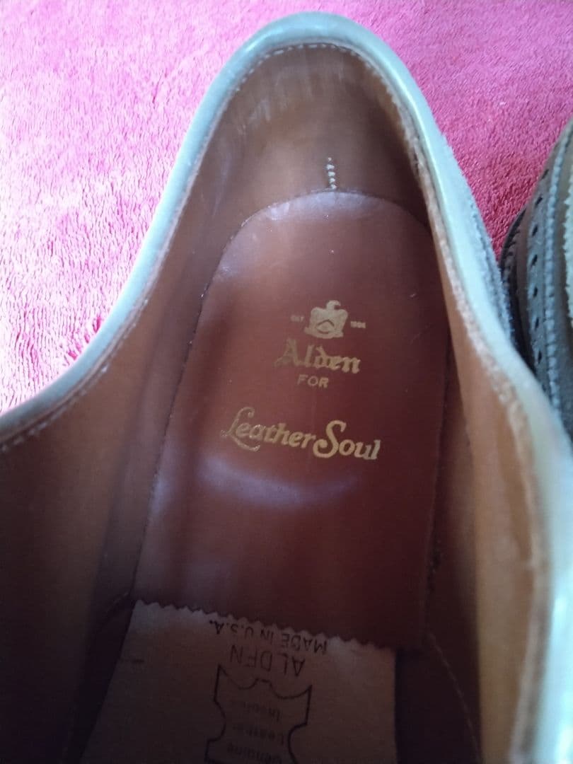 カタログ＆キルト付☆新品！オールデン７ E バリーラスト☆ロングウイング☆別注品