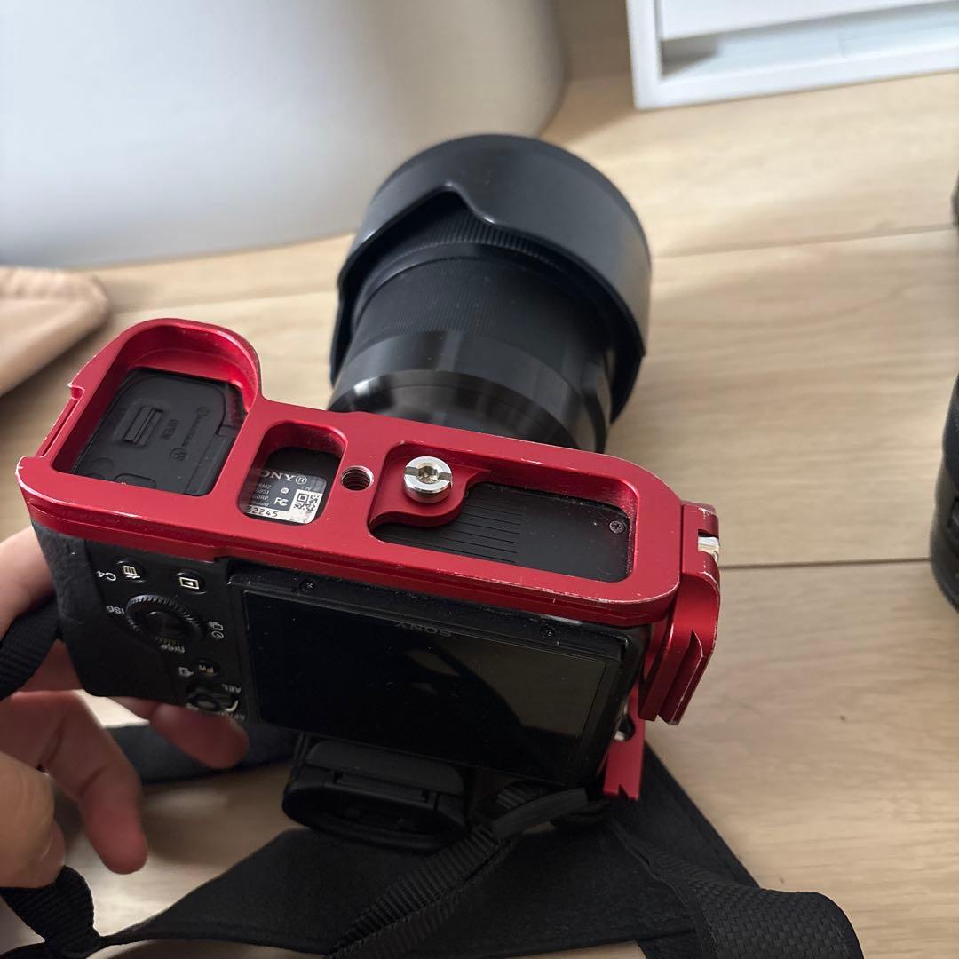 ぱ*ん様 α7RⅡ sigma50mm F 1.4