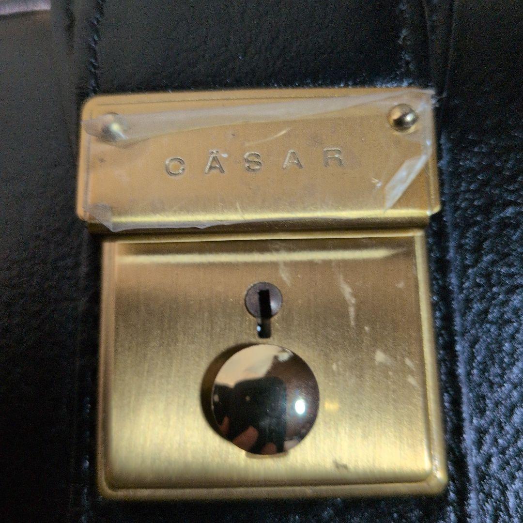 CASAR:シーザー:メンズ:ミニダレスバッグ:黒