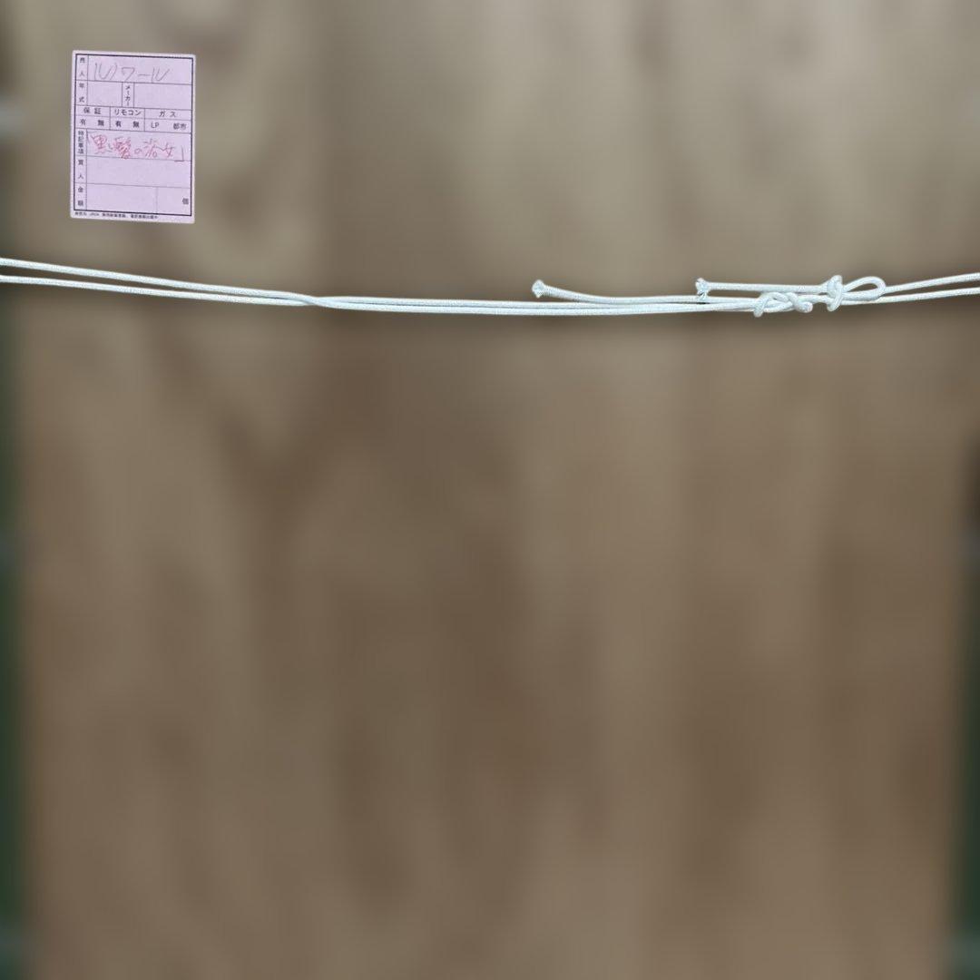 複製画　絵画　油彩画　油絵　模写ルノアール　F10号　ルノワール　「若い浴女」