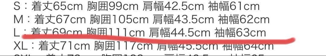 タイオン　ダウンジャケット　ユニセックス　Lサイズ　ブラック