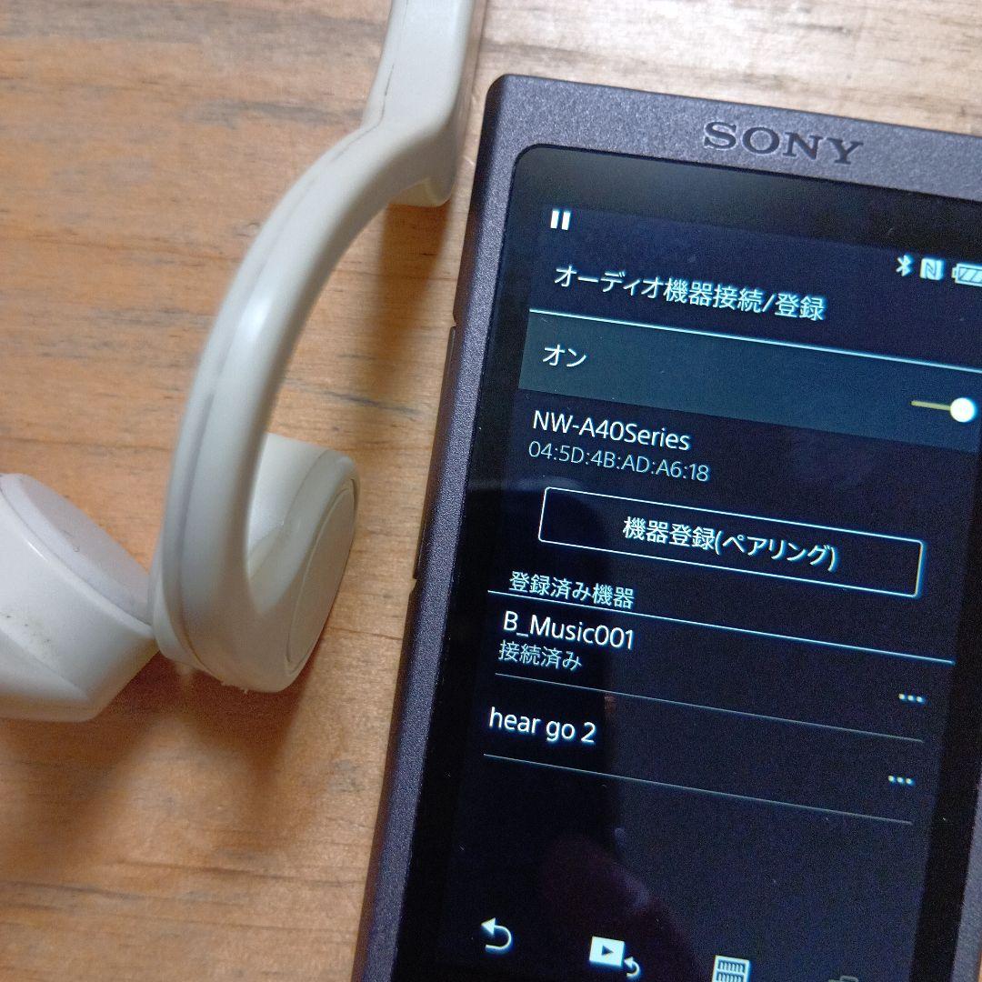 ☪*.様 SONYウォークマンNW-A45 16GB