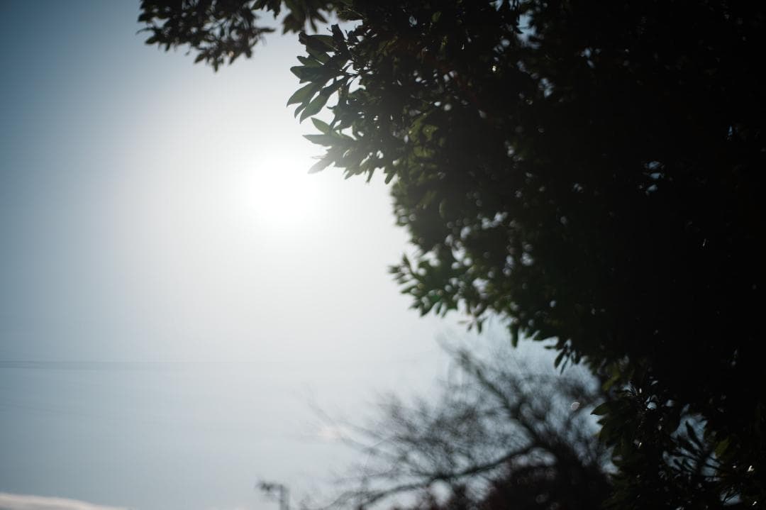 【整備＆テスト済】Nikon Ai-s Nikkor 50mm f1.8 346