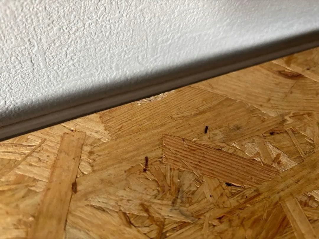 スチールラック・メタルラック ANGLE SHELF Pacific furniture