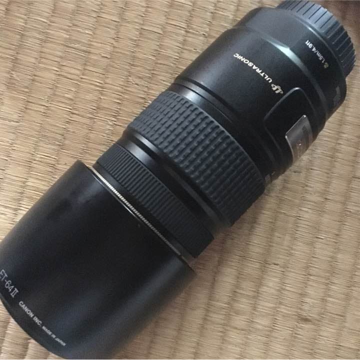 canon望遠レンズ75-300