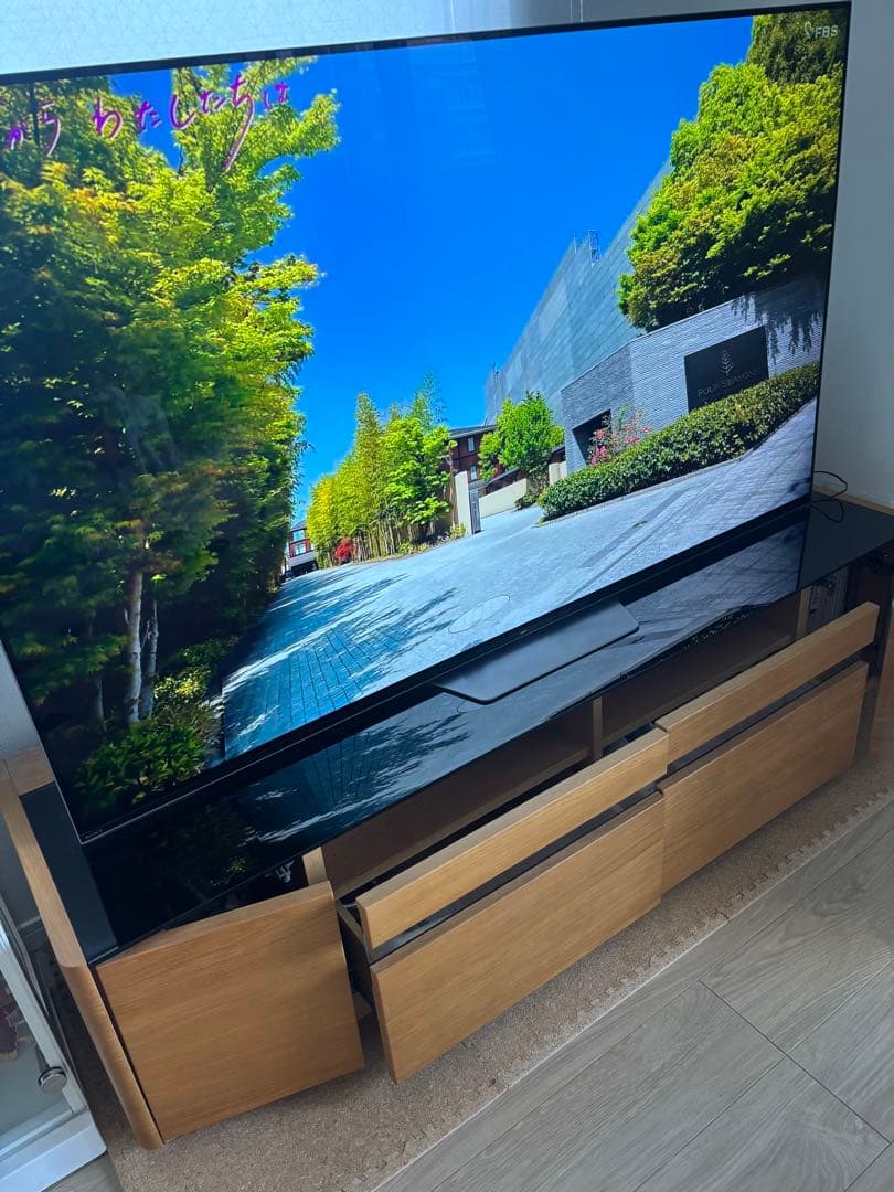 SONY BRAVIA KJ-65A8F 有機EL