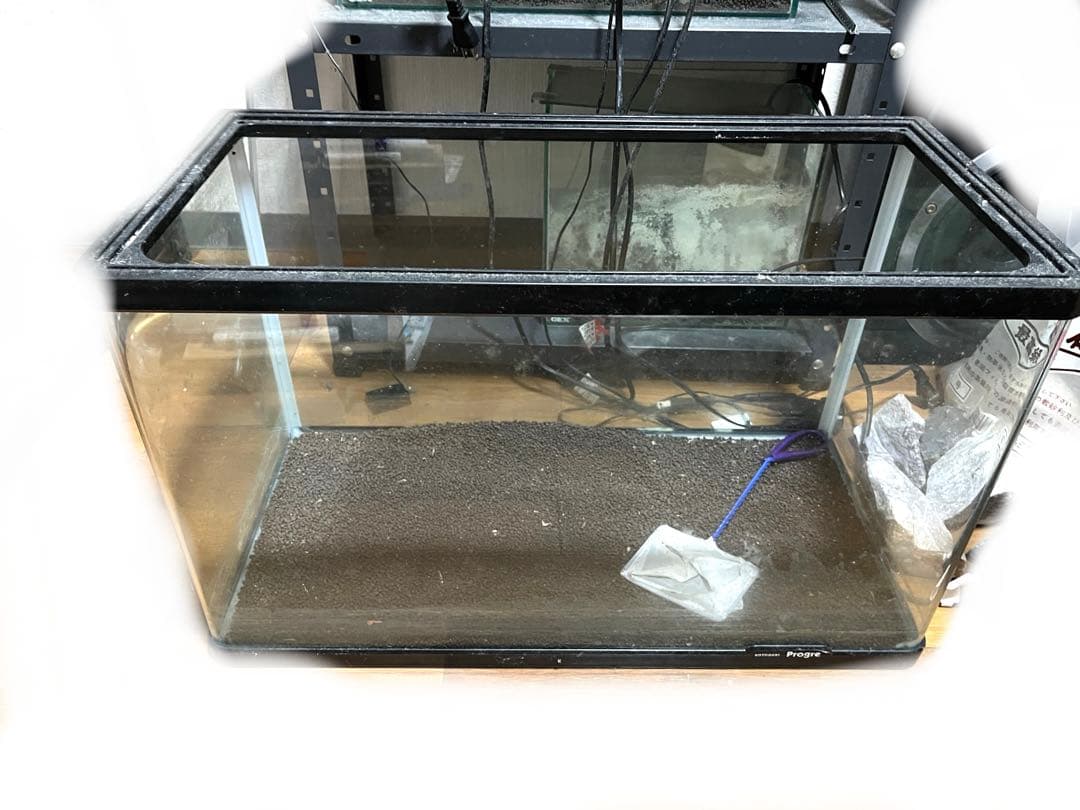 水槽 格安 ※引取限定※ 他掃除用具、濾過器写真同等一機