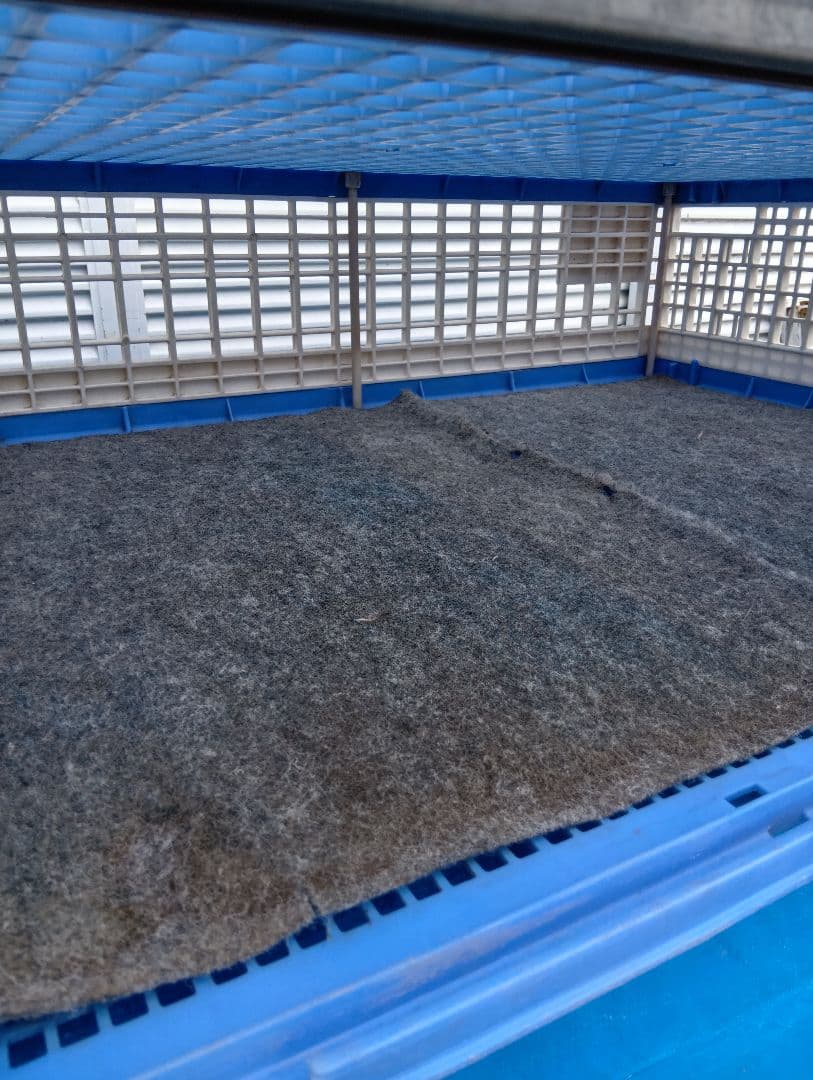 放鳩籠　コンテナ　レース鳩　移送　搬送　輸送　愛鳩の友　コンテナー　キャディーB