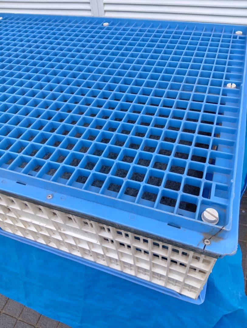 放鳩籠　コンテナ　レース鳩　移送　搬送　輸送　愛鳩の友　コンテナー　キャディーB