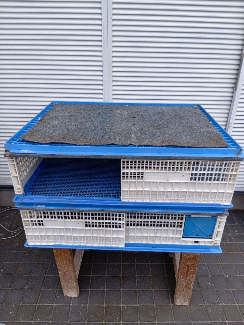 放鳩籠　コンテナ　レース鳩　移送　搬送　輸送　愛鳩の友　コンテナー　キャディーB