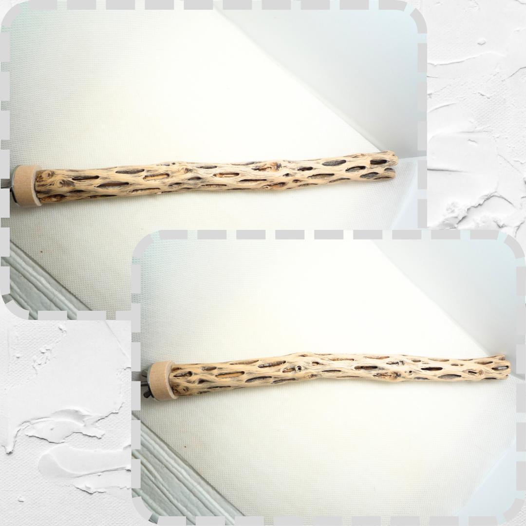 らいちょう　カクタスパーチ　3本セット