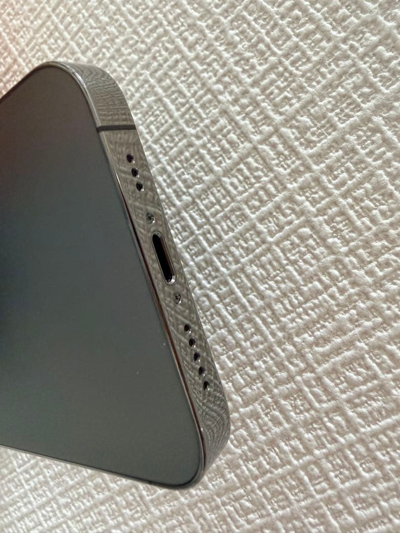 Apple iPhone 13 Pro グラファイト 本体 充電ケーブル付き