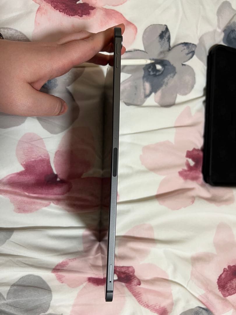 iPad Pro 11-inch (第1世代) 256GB Wi-Fi + 4G