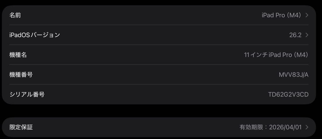 iPad Pro 11インチ M4 wi-fi 256GB 2024年モデル