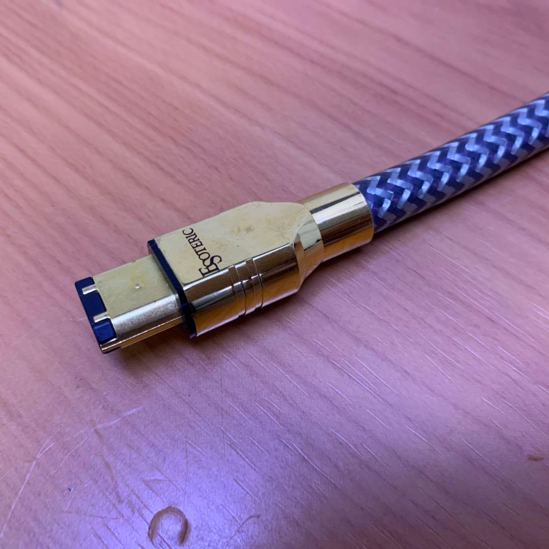 レア❗️ ESOTERIC i.LINKケーブル　8N-6P/6Pi 1.0m