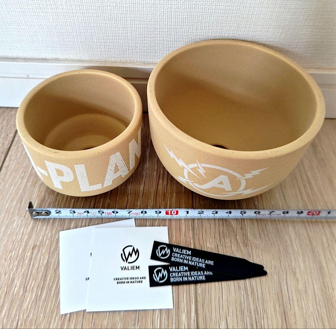 valiem a-plants二点セット 検)バリエム カタチ製作所
