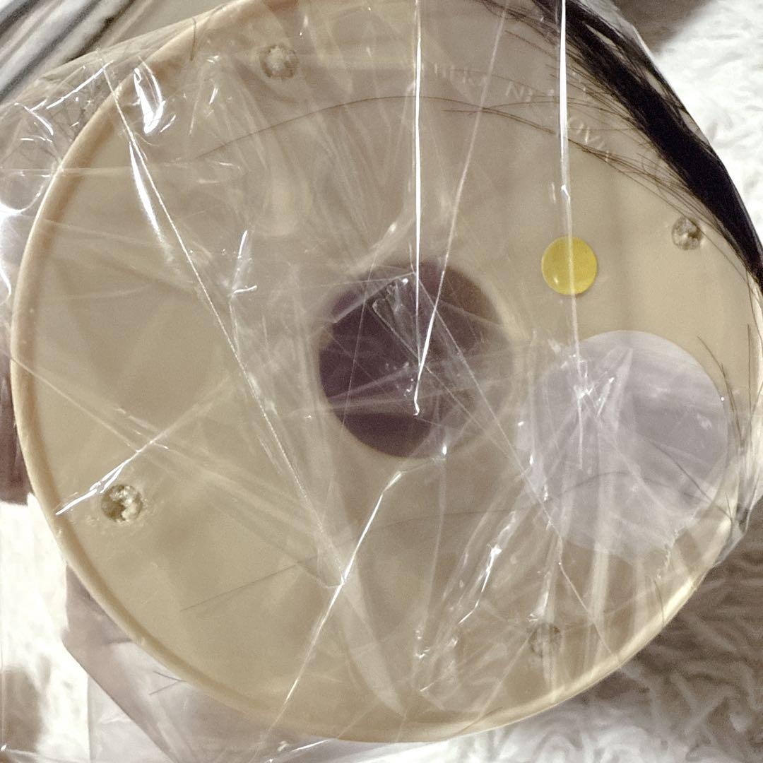 ✨未使用✨ 美容師実技試験対応　練習用 7体 三矢 カラーウィッグ