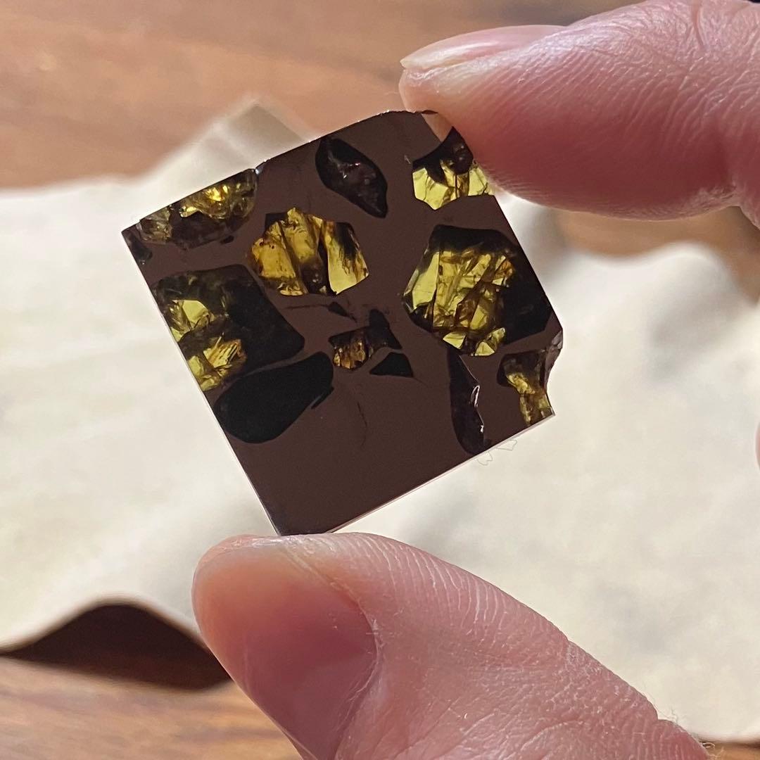 エスケル　隕石　ESQUEL パラサイト