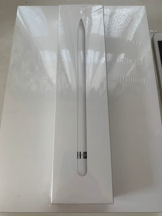 iPad Pro 10.5インチ64GBシルバー(整備済製品) Pencil付き