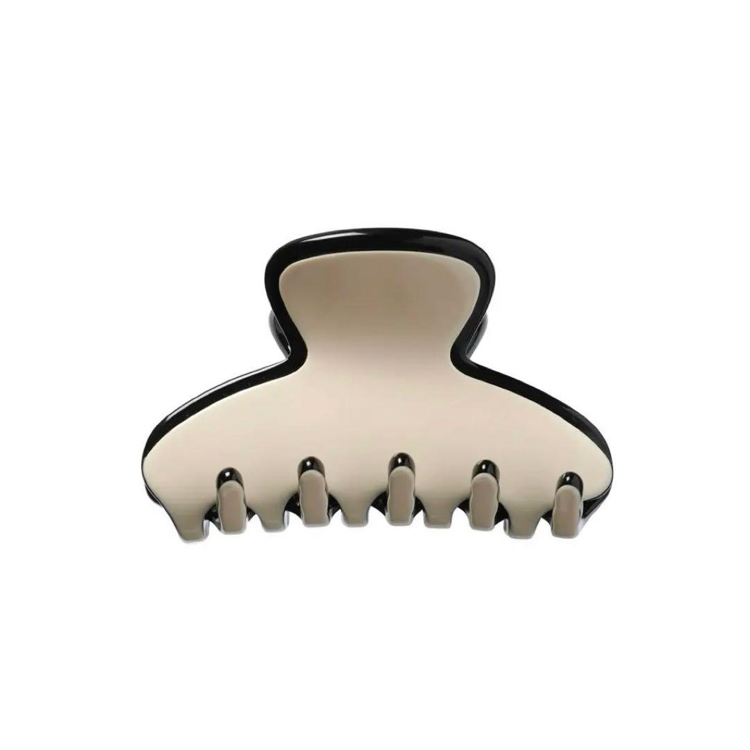 アレクサンドルドゥパリ 【LISERAI】S クリップ ベージュ ヘアクリップ