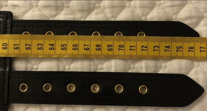 ディオール　サドルベルト　DIOR