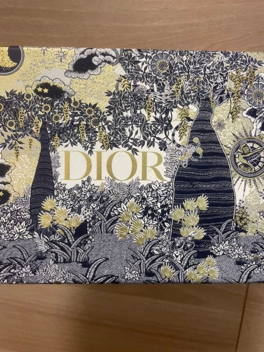ディオール　サドルベルト　DIOR