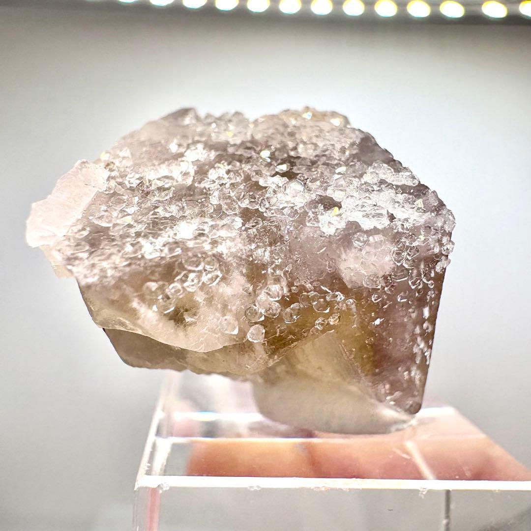 581 イギリス　シェリーツインズポケット　フローライト