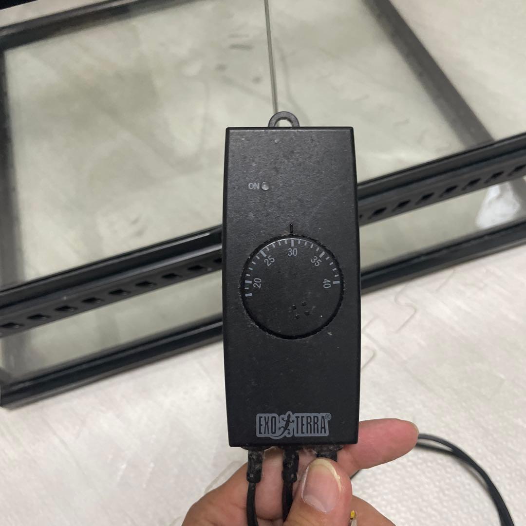 グラステラリウム【レオパ飼育セット】