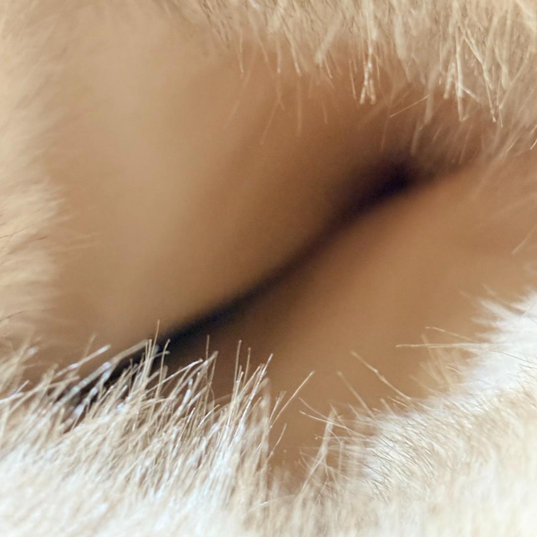 完売品 YELLO MOJU LONG BOOTS ベージュ Lサイズ