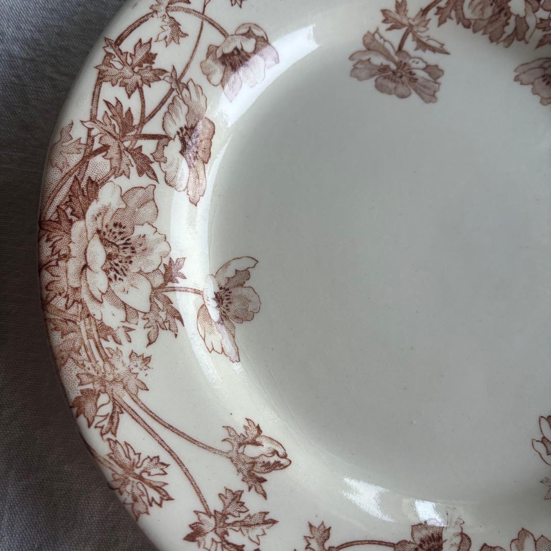 フランスアンティーク ジアン Anemones プレート2枚セット