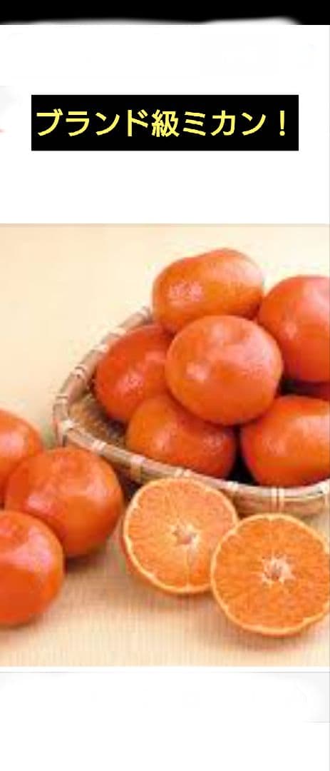 限定販売品！「津の輝」「せとか」３年生セット販売品！