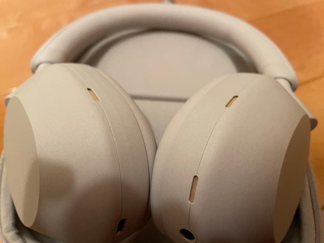 SONYwh-1000xm5むびくん専用