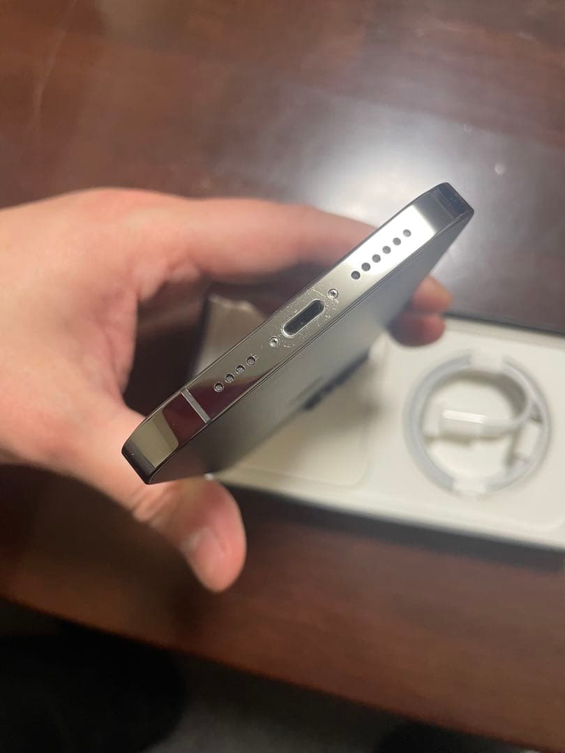 Apple iPhone 13ProMax 1TB本体