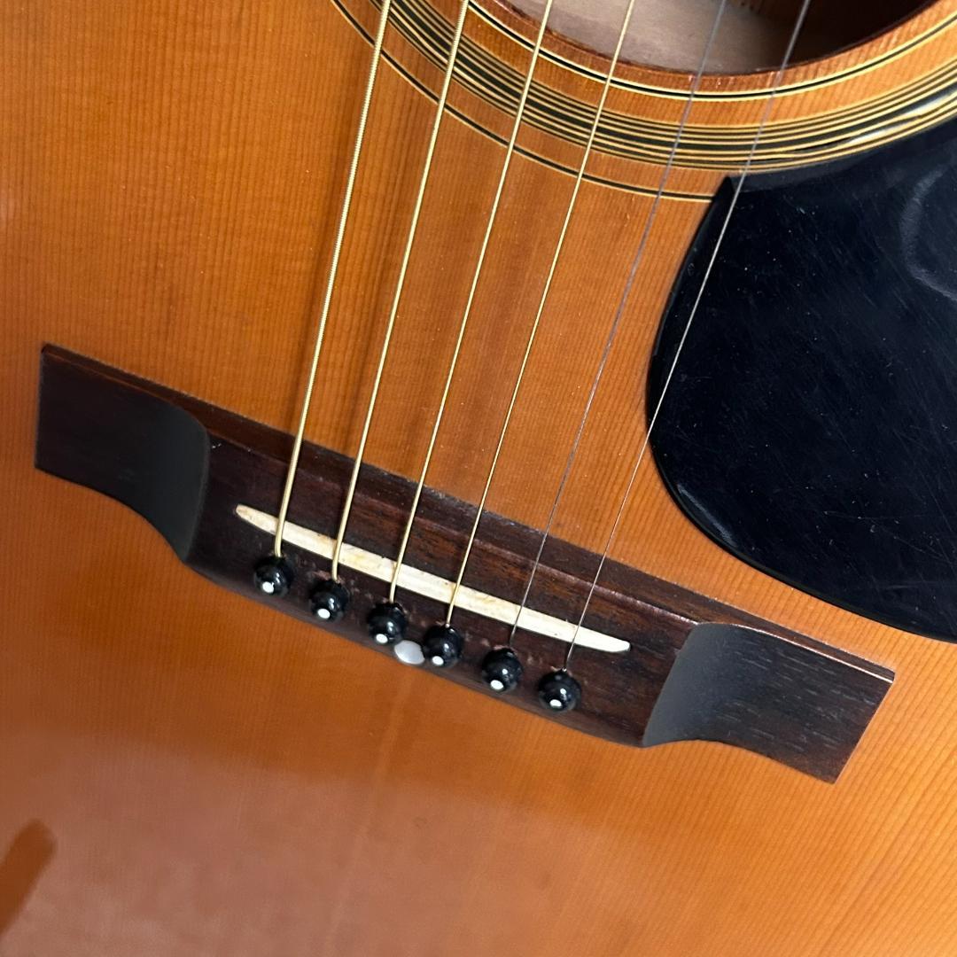 ジャパンヴィンテージ　Aria アコースティックギター ハードケース付き