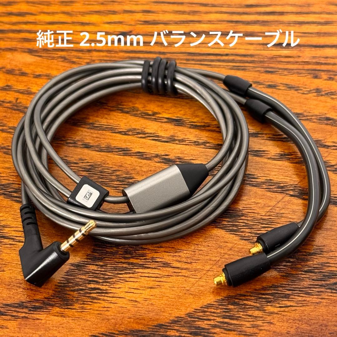 Sennheiser IE900 本体／専用ケース付き／高音質IEM