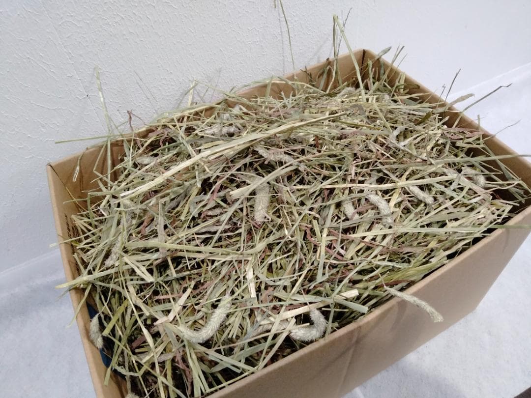 US産 チモシー 50kg ２番刈り ソフトSプレミアム