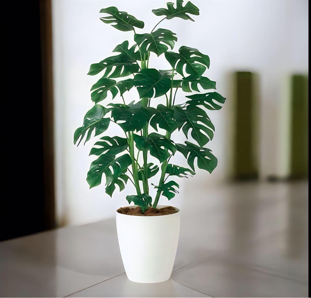光触媒　人工観葉植物　ウォールグリーン　フェイクグリーン　モンステラ R110